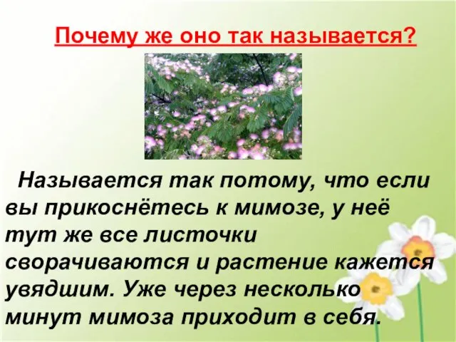 Почему же оно так называется? Называется так потому, что если вы прикоснётесь