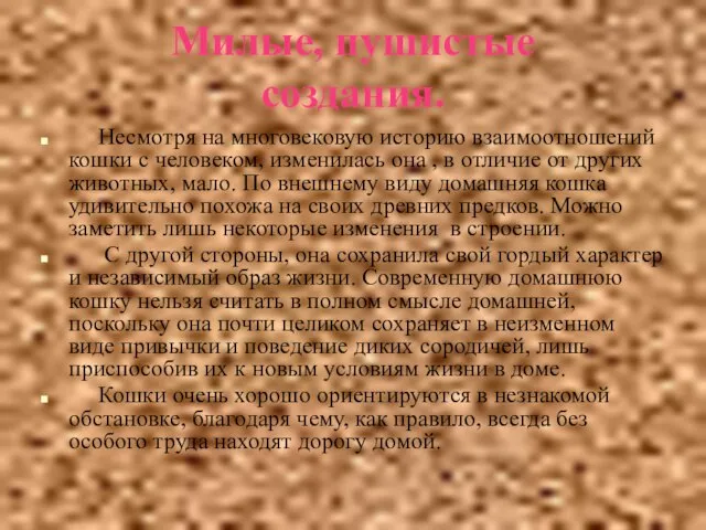 Милые, пушистые создания. Несмотря на многовековую историю взаимоотношений кошки с человеком, изменилась