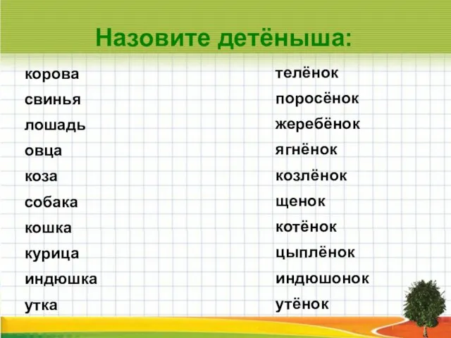 Назовите детёныша: корова свинья лошадь овца коза собака кошка курица индюшка утка