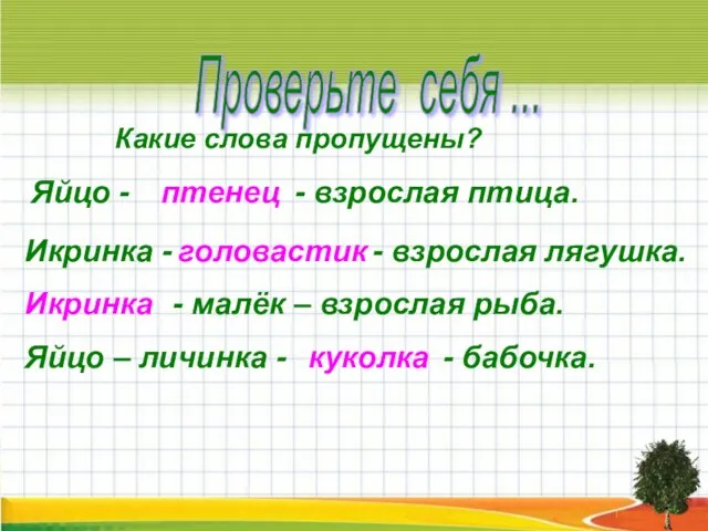 Проверьте себя ... Яйцо - - взрослая птица. птенец Икринка - -