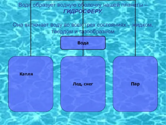 Вода образует водную оболочку нашей планеты – ГИДРОСФЕРУ. Она включает воду во