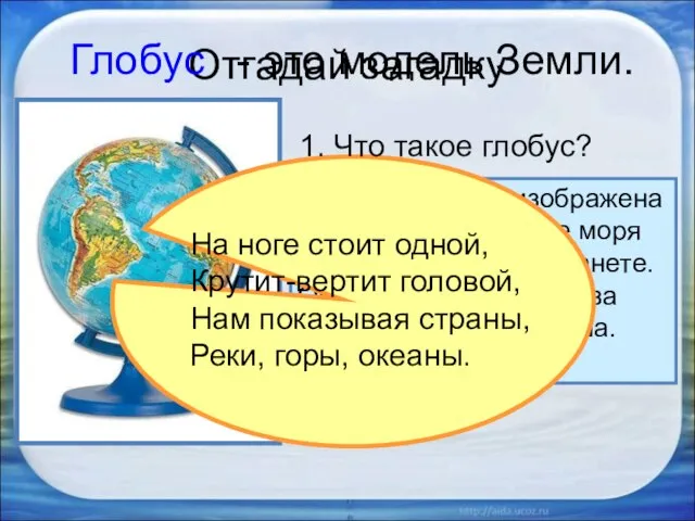 Отгадай загадку 2. Раскрути глобус. 3. Какого цвета больше на глобусе, каким