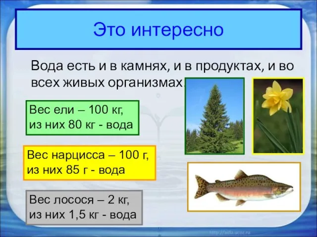 Это интересно Вода есть и в камнях, и в продуктах, и во