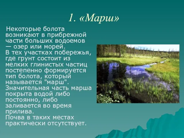 1. «Марш» Некоторые болота возникают в прибрежной части больших водоемов — озер