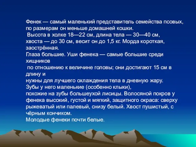 Фенек — самый маленький представитель семейства псовых, по размерам он меньше домашней