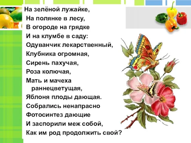 На зелёной лужайке, На полянке в лесу, В огороде на грядке И