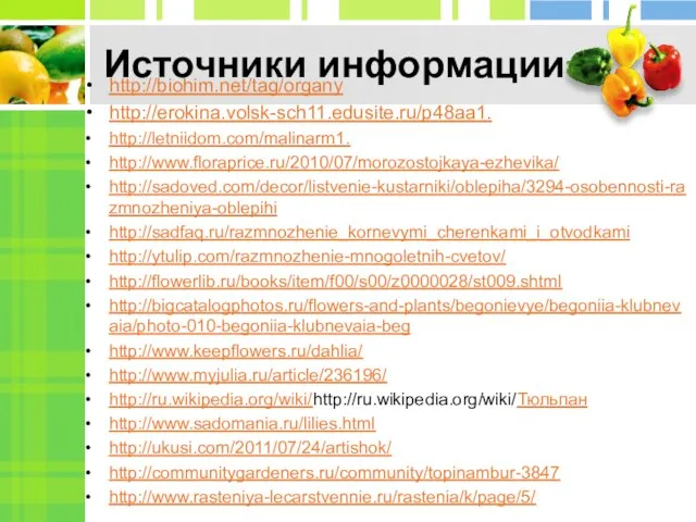 Источники информации http://biohim.net/tag/organy http://erokina.volsk-sch11.edusite.ru/p48aa1. http://letniidom.com/malinarm1. http://www.floraprice.ru/2010/07/morozostojkaya-ezhevika/ http://sadoved.com/decor/listvenie-kustarniki/oblepiha/3294-osobennosti-razmnozheniya-oblepihi http://sadfaq.ru/razmnozhenie_kornevymi_cherenkami_i_otvodkami http://ytulip.com/razmnozhenie-mnogoletnih-cvetov/ http://flowerlib.ru/books/item/f00/s00/z0000028/st009.shtml http://bigcatalogphotos.ru/flowers-and-plants/begonievye/begoniia-klubnevaia/photo-010-begoniia-klubnevaia-beg http://www.keepflowers.ru/dahlia/