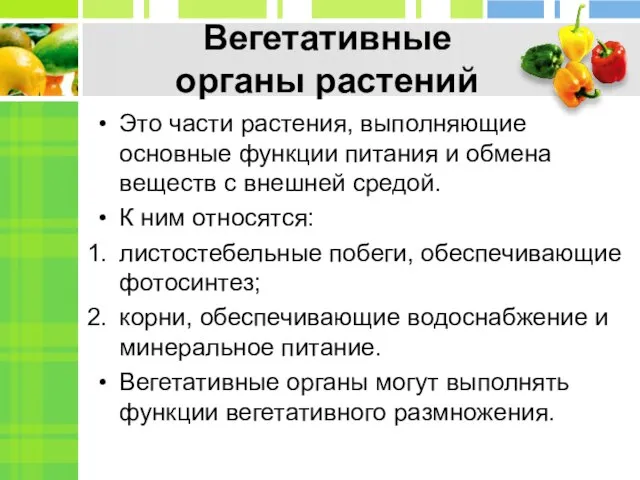 Вегетативные органы растений Это части растения, выполняющие основные функции питания и обмена