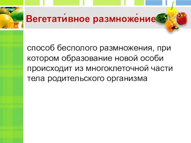 способ бесполого размножения, при котором образование новой особи происходит из многоклеточной части