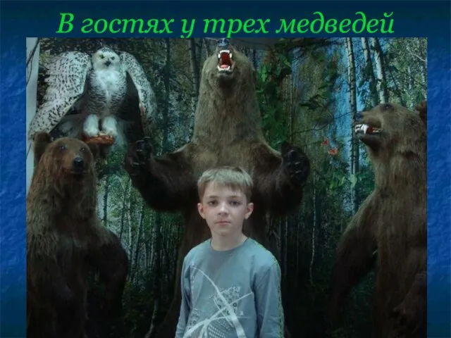 В гостях у трех медведей