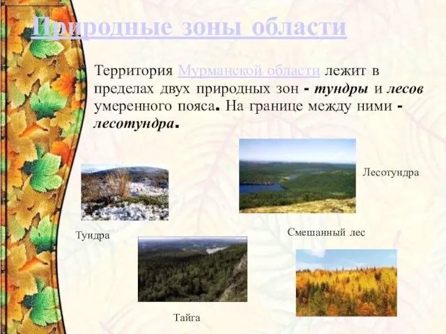 Природные зоны области Территория Мурманской области лежит в пределах двух природных зон
