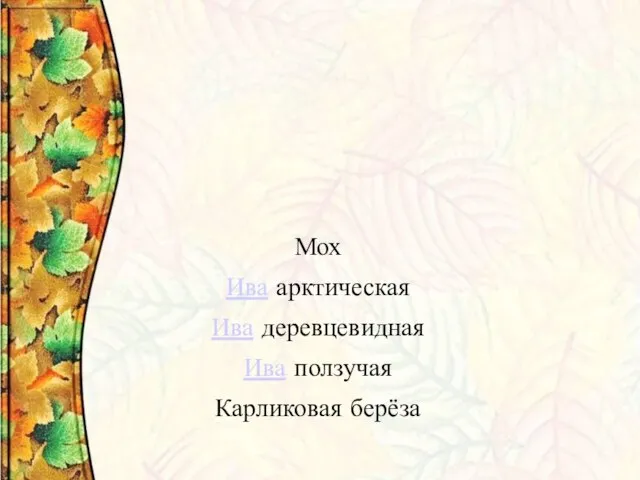 Красная книга Мурманской области Виды, подлежащие полной охране Мох Ива арктическая Ива