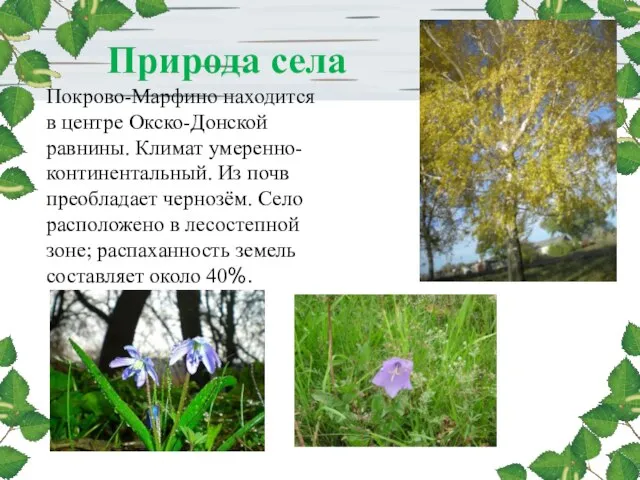 Природа села Покрово-Марфино находится в центре Окско-Донской равнины. Климат умеренно-континентальный. Из почв