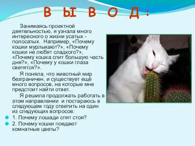 В Ы В О Д : Занимаясь проектной деятельностью, я узнала много