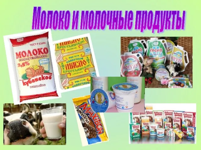 Молоко и молочные продукты