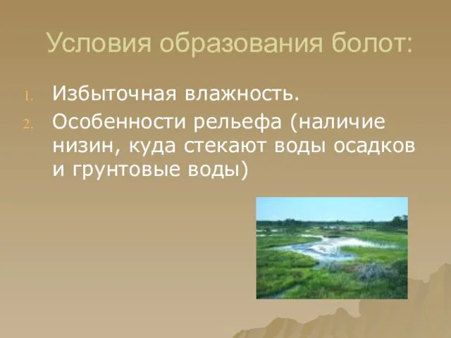 Условия образования болот: Избыточная влажность. Особенности рельефа (наличие низин, куда стекают воды осадков и грунтовые воды)