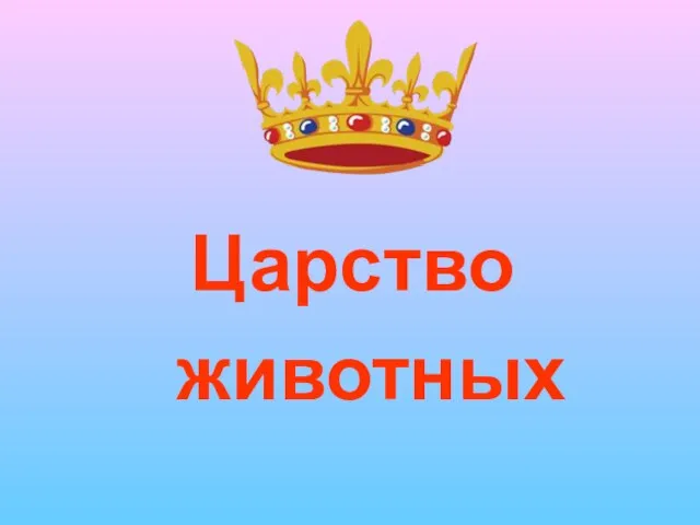 Царство животных