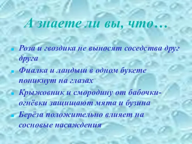 А знаете ли вы, что… Роза и гвоздика не выносят соседства друг