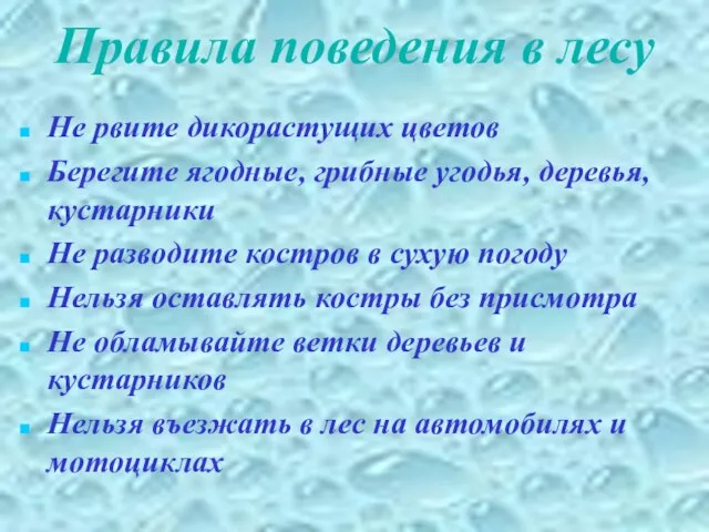 Правила поведения в лесу Не рвите дикорастущих цветов Берегите ягодные, грибные угодья,