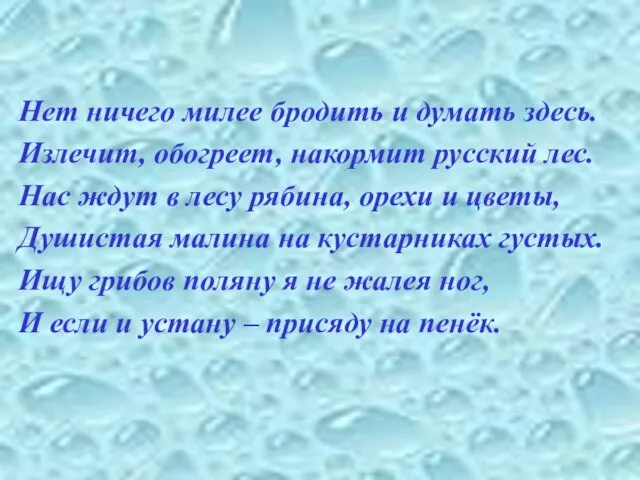 Нет ничего милее бродить и думать здесь. Излечит, обогреет, накормит русский лес.