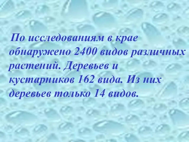 По исследованиям в крае обнаружено 2400 видов различных растений. Деревьев и кустарников