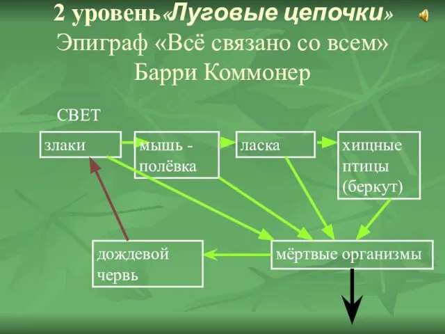 2 уровень«Луговые цепочки» Эпиграф «Всё связано со всем» Барри Коммонер СВЕТ