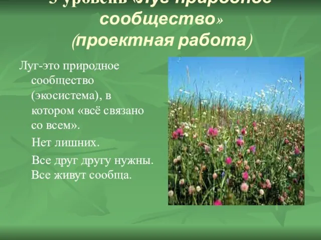 3 уровень «Луг-природное сообщество» (проектная работа) Луг-это природное сообщество (экосистема), в котором