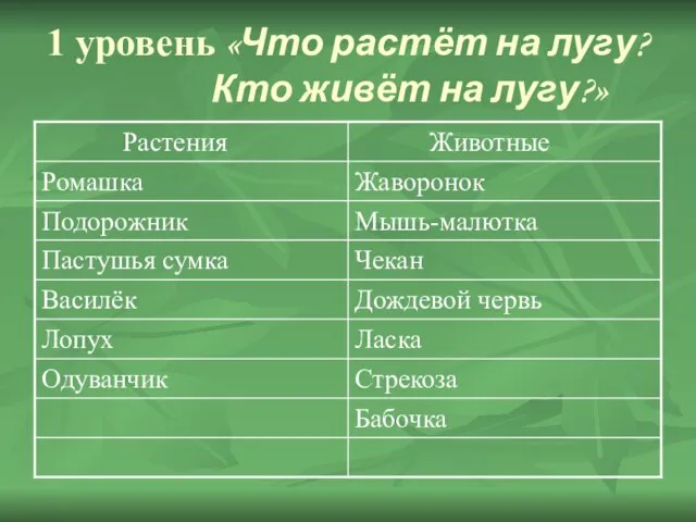 1 уровень «Что растёт на лугу? Кто живёт на лугу?»