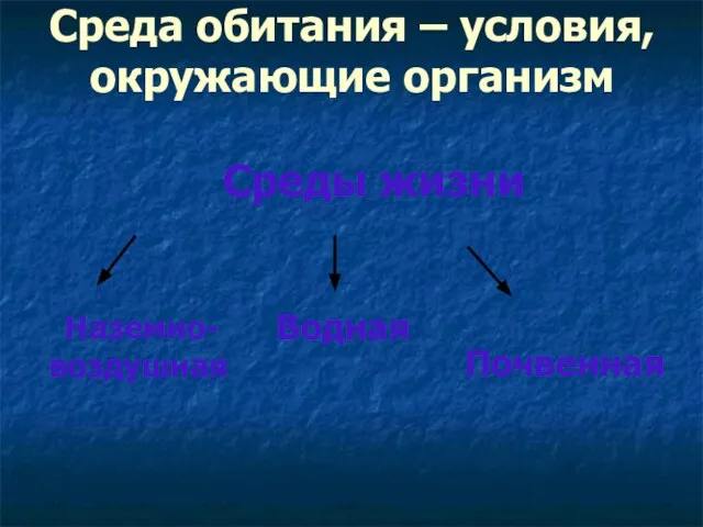 Среда обитания – условия, окружающие организм Среды жизни Наземно-воздушная Водная Почвенная