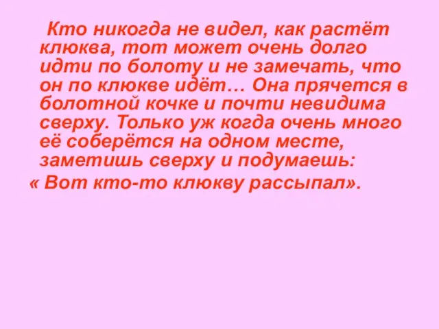 Кто никогда не видел, как растёт клюква, тот может очень долго идти