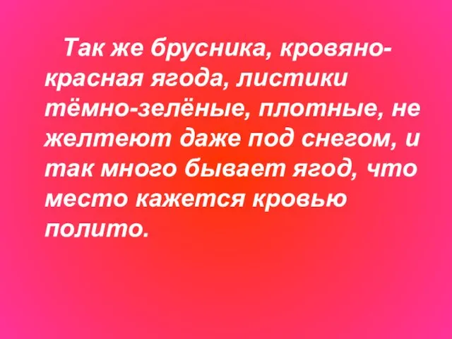 Так же брусника, кровяно-красная ягода, листики тёмно-зелёные, плотные, не желтеют даже под