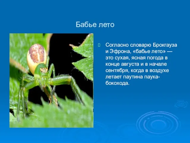 Бабье лето Согласно словарю Брокгауза и Эфрона, «бабье лето» — это сухая,