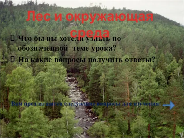 Что бы вы хотели узнать по обозначенной теме урока? На какие вопросы