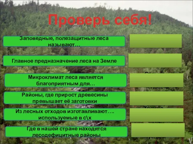 «Легкие планеты» природоохранные Отдыха и лечения человека Лесоизбыточные Заповедные, полезащитные леса называют…