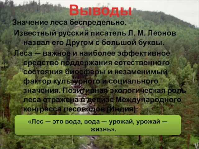 «Лес — это вода, вода — урожай, урожай — жизнь». Значение леса