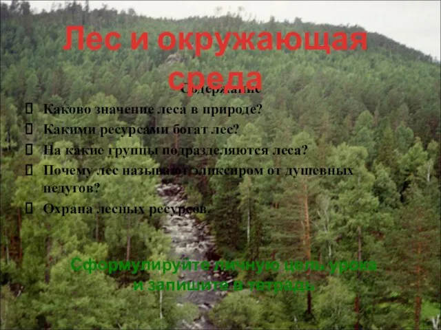 Содержание Каково значение леса в природе? Какими ресурсами богат лес? На какие