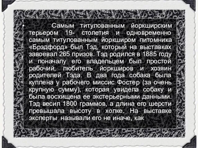 Самым титулованным йоркширским терьером 19- столетия и одновременно самым титулованным йоркширом питомника