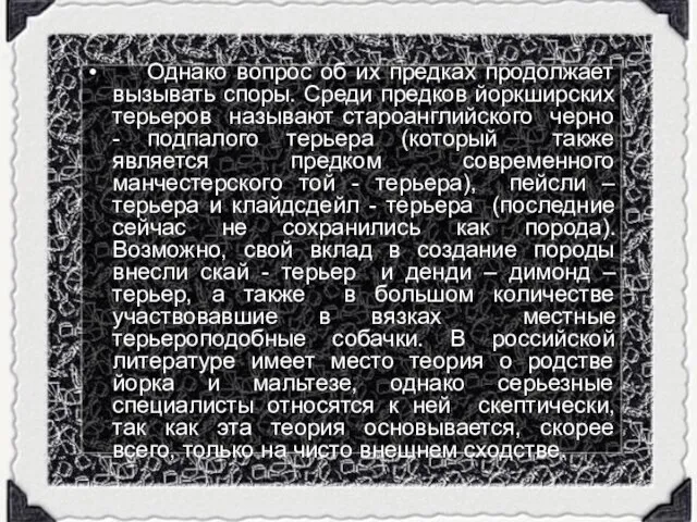 Однако вопрос об их предках продолжает вызывать споры. Среди предков йоркширских терьеров