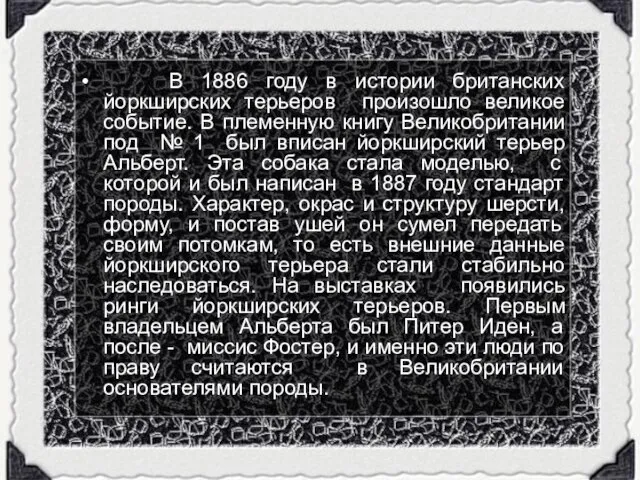 В 1886 году в истории британских йоркширских терьеров произошло великое событие. В