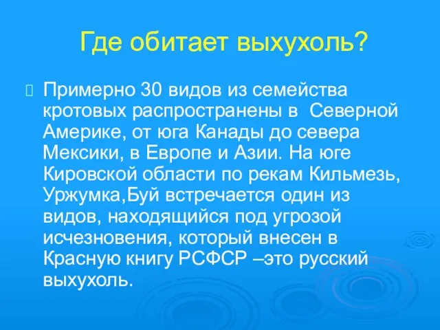 Где обитает выхухоль? Примерно 30 видов из семейства кротовых распространены в Северной