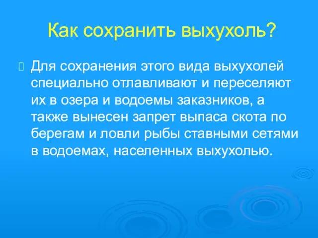 Как сохранить выхухоль? Для сохранения этого вида выхухолей специально отлавливают и переселяют