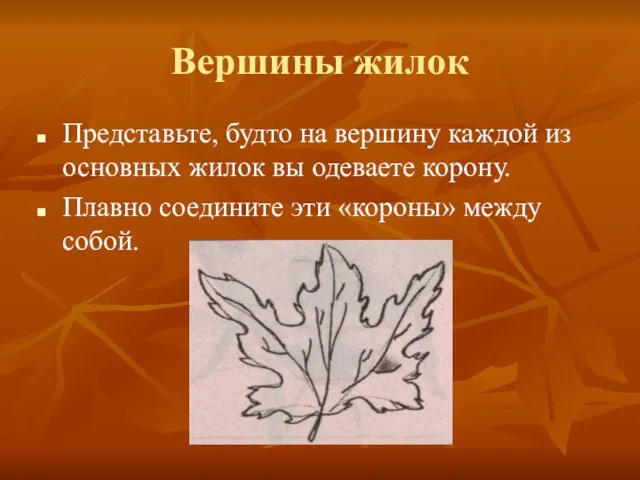 Вершины жилок Представьте, будто на вершину каждой из основных жилок вы одеваете