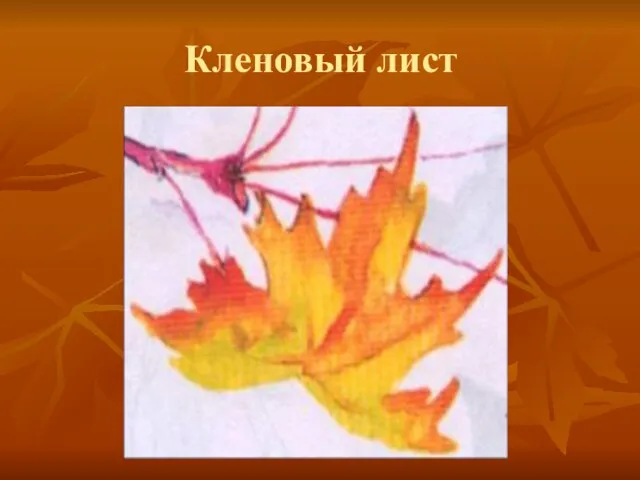 Кленовый лист