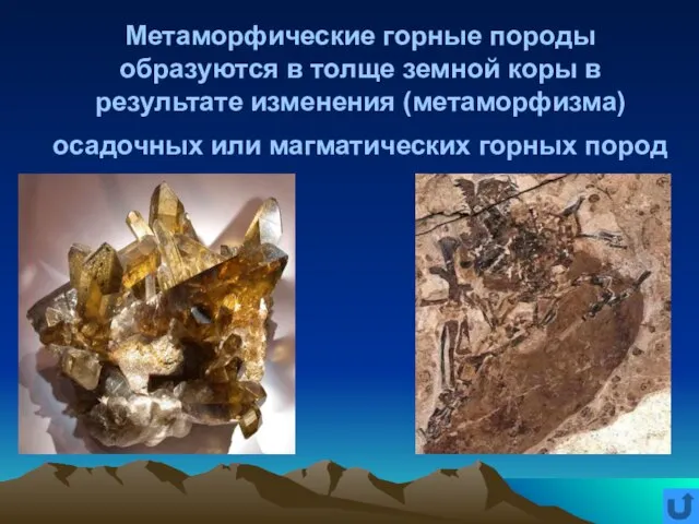 Метаморфические горные породы образуются в толще земной коры в результате изменения (метаморфизма)