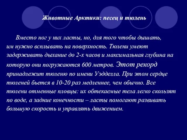 Животные Арктики: песец и тюлень Вместо ног у них ласты, но, для