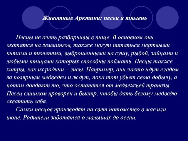 Животные Арктики: песец и тюлень Песцы не очень разборчивы в пище. В