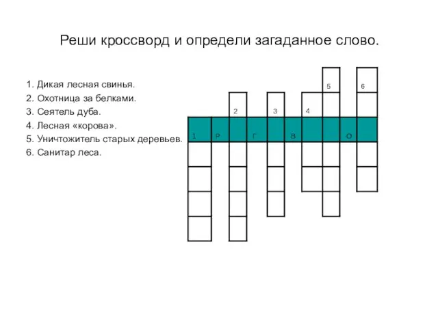 Реши кроссворд и определи загаданное слово. 1. Дикая лесная свинья. 2. Охотница