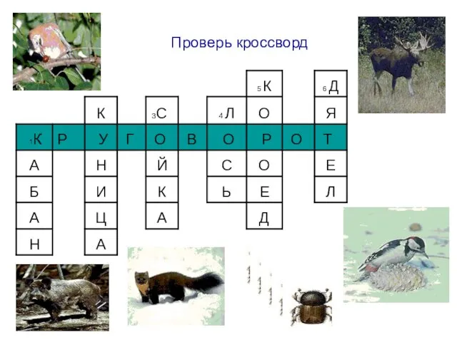 Проверь кроссворд