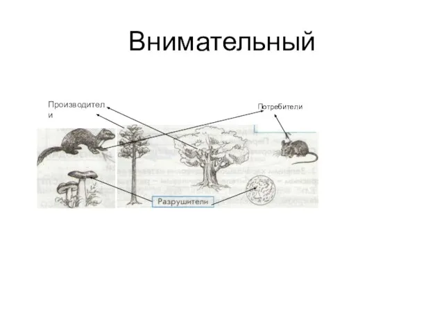 Внимательный Производители Потребители