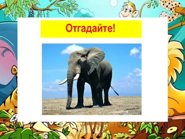 У этого крошки столбики-ножки, У этого крошки – глаза-поварёшки. А ушки покуда с кухонное блюдо! Отгадайте!